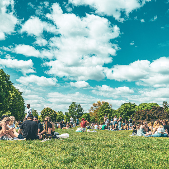 "People gatehring at Trinity Bellwoods Park" stock image