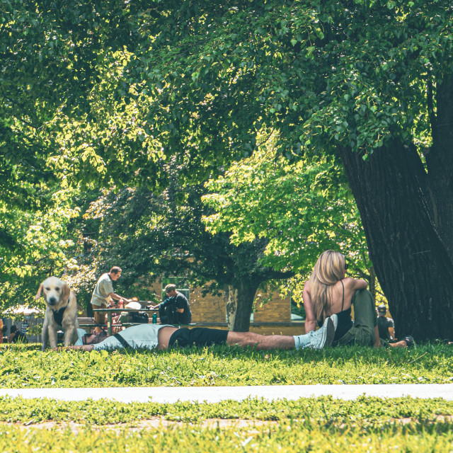 "Couple at Trinity Bellwoods Park" stock image