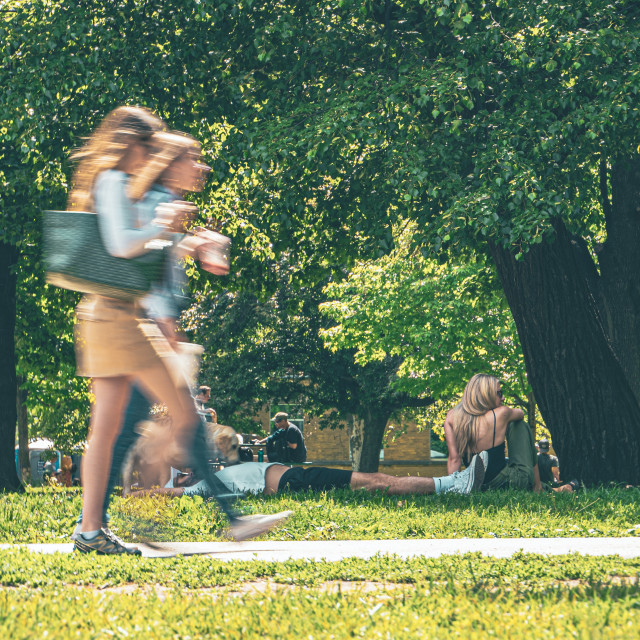 "Walking through Trinity Bellwoods Park" stock image