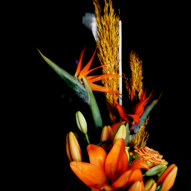 "Colourful flower arrangement" stock image