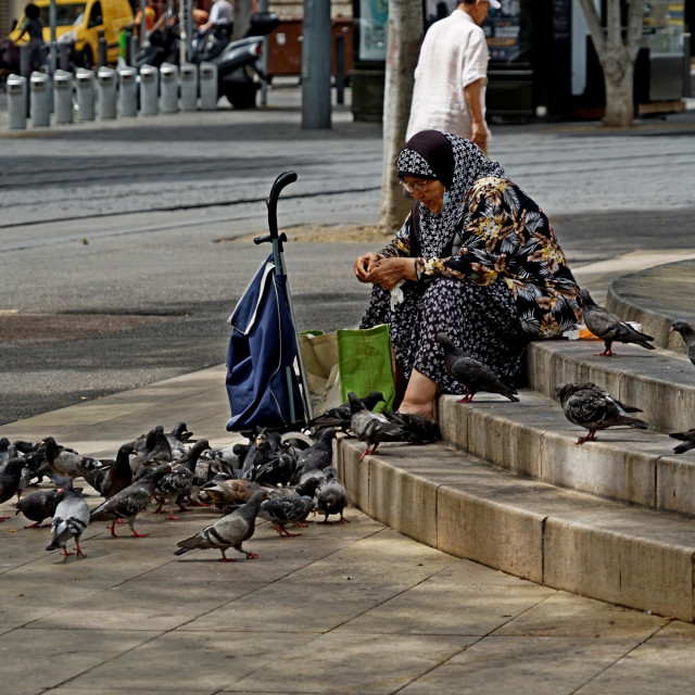 "Feeding the pigeons" by Amit Mendelsohn - £50.00 "Feeding the pigeons" stock image