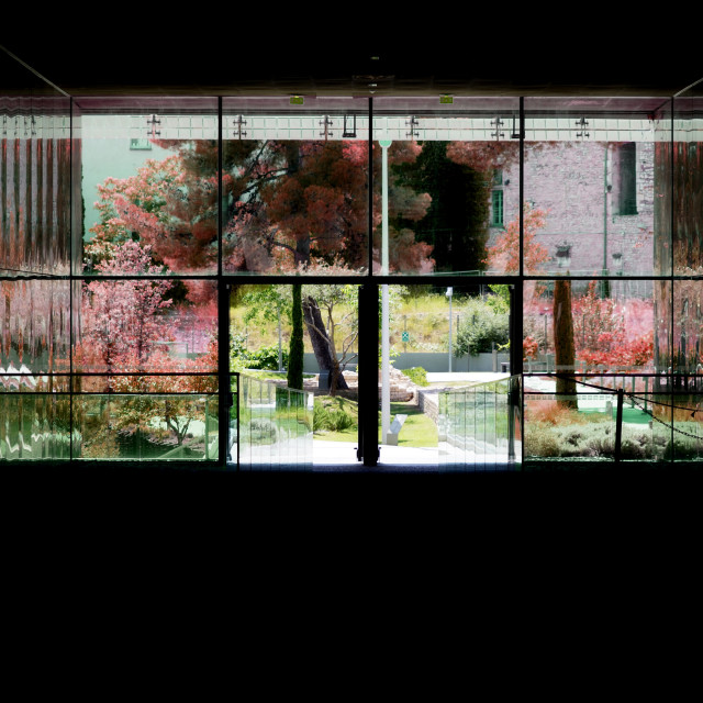 "the opening to the garden" by Amit Mendelsohn - £50.00 "the opening to the garden" stock image