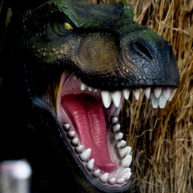 "Dino" by Amit Mendelsohn - £50.00 "Dino" stock image
