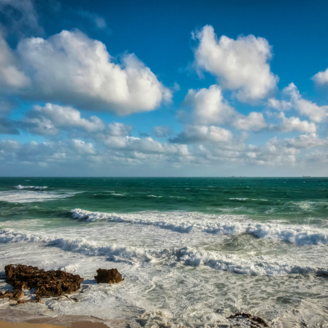 "Blustery Sea Shore" stock image