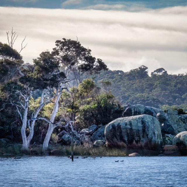 "Wilsons Inlet Rocks" stock image