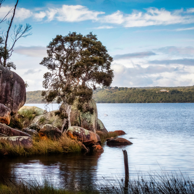 "Wilsons Inlet Scene" stock image