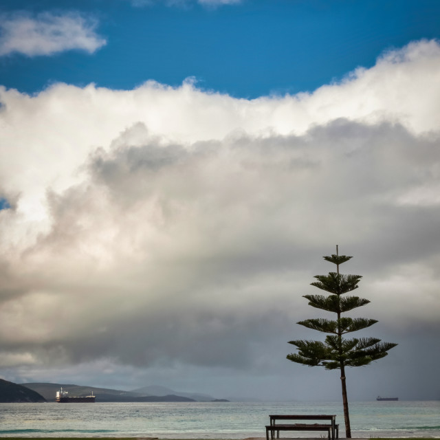 "Middleton Beach" stock image