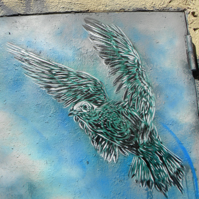 "Graffiti - C215" by Amit Mendelsohn - £50.00 "Graffiti - C215" stock image