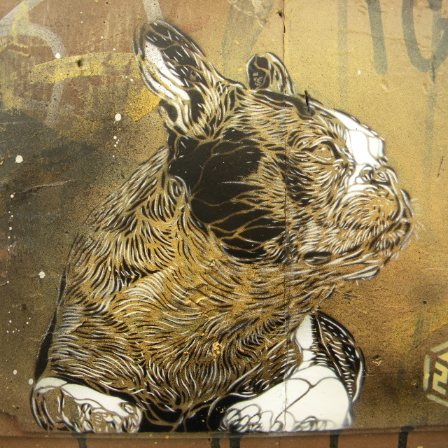 "Graffiti - C215" by Amit Mendelsohn - £50.00 "Graffiti - C215" stock image