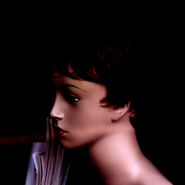 "A head of a mannequin" by Amit Mendelsohn - £50.00 "A head of a mannequin" stock image
