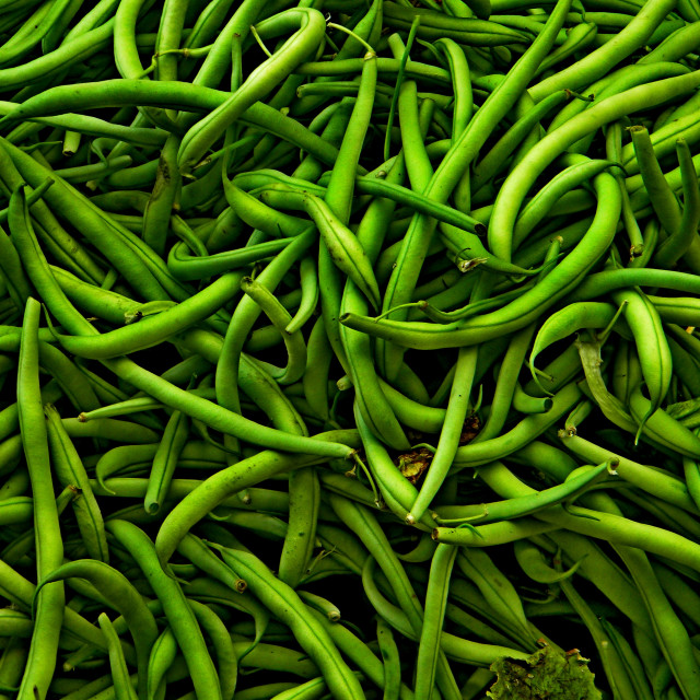 "Peas" by Amit Mendelsohn - £50.00 "Peas" stock image