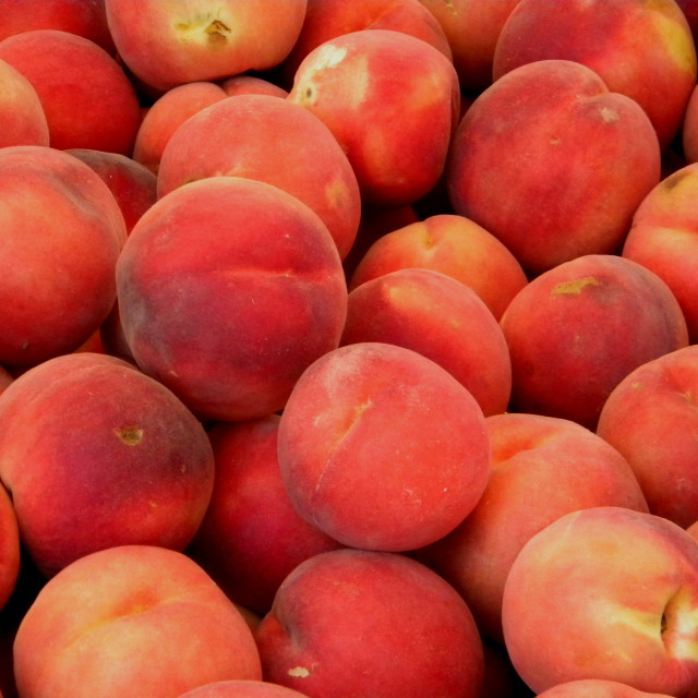 "Peaches" by Amit Mendelsohn - £50.00 "Peaches" stock image