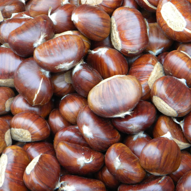"chestnuts" stock image