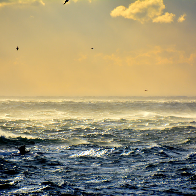 "An angry sea" stock image