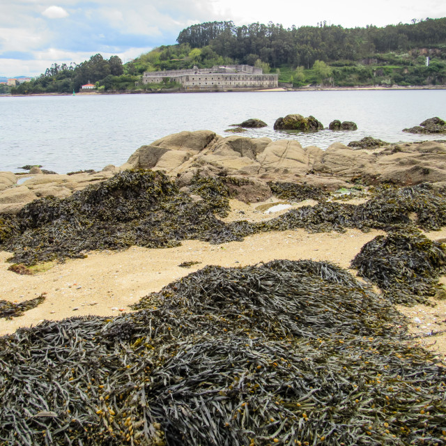 "Castelo da Palma, Ferrol" stock image