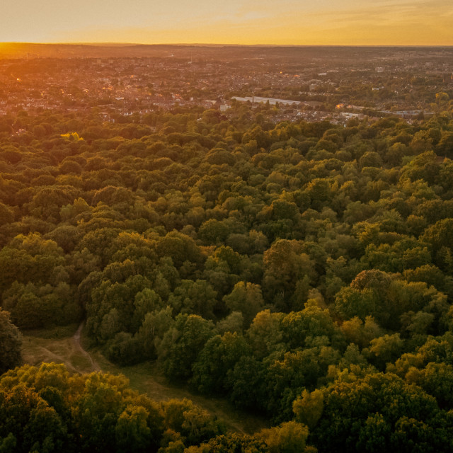 "Golders Hill Park, London Sunset Drone" stock image