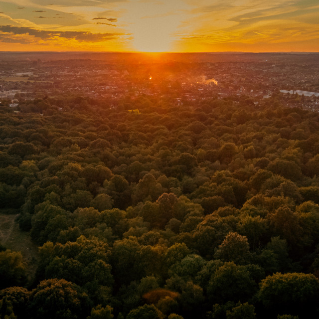 "Golders Hill Park, London Sunset Drone" stock image