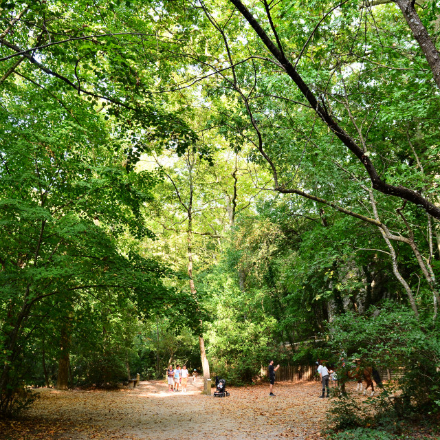 "Park saint pons" by Amit Mendelsohn - £50.00 "Park saint pons" stock image