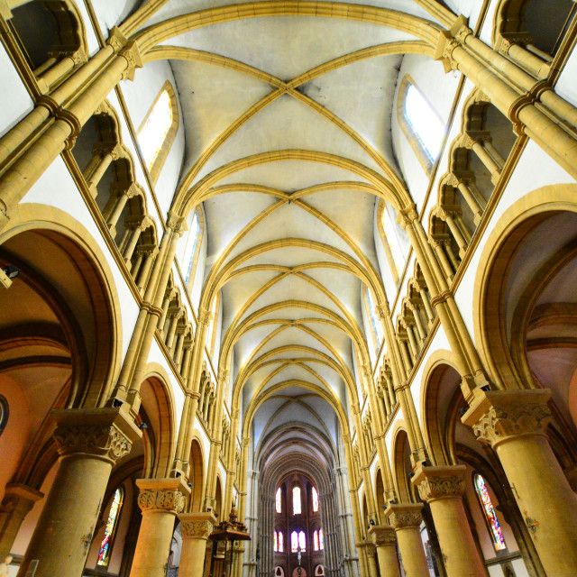 "Charleville-Mezieres cathedral" stock image