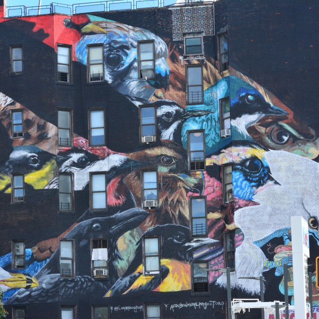 "Mural - NYC" by Amit Mendelsohn - £50.00 "Mural - NYC" stock image