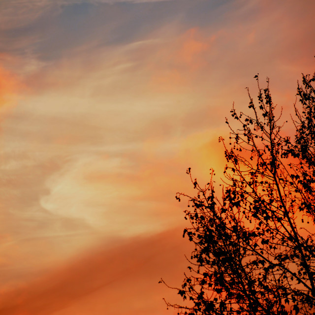 "The sky as a painting" stock image