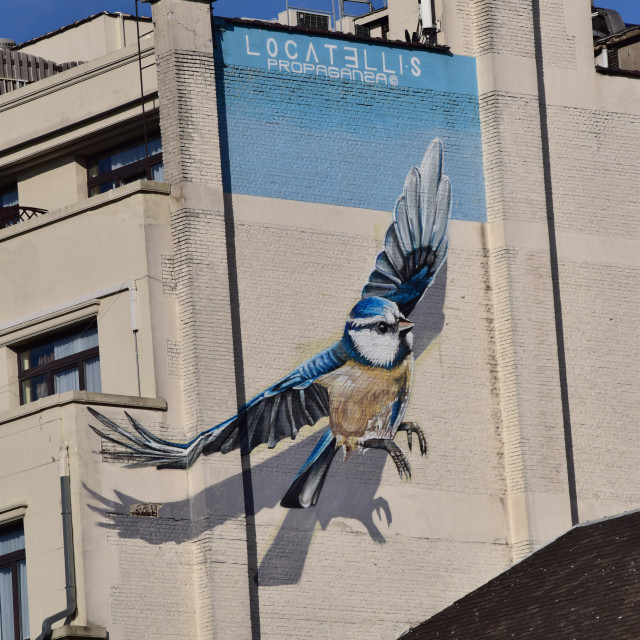 "Mural - Brussels" by Amit Mendelsohn - £50.00 "Mural - Brussels" stock image