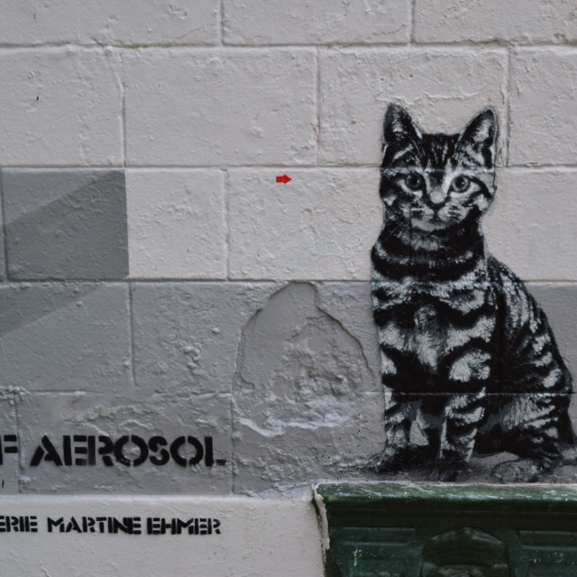 "Jef Aerosol - Stencil murals" by Amit Mendelsohn - £50.00 "Jef Aerosol - Stencil murals" stock image
