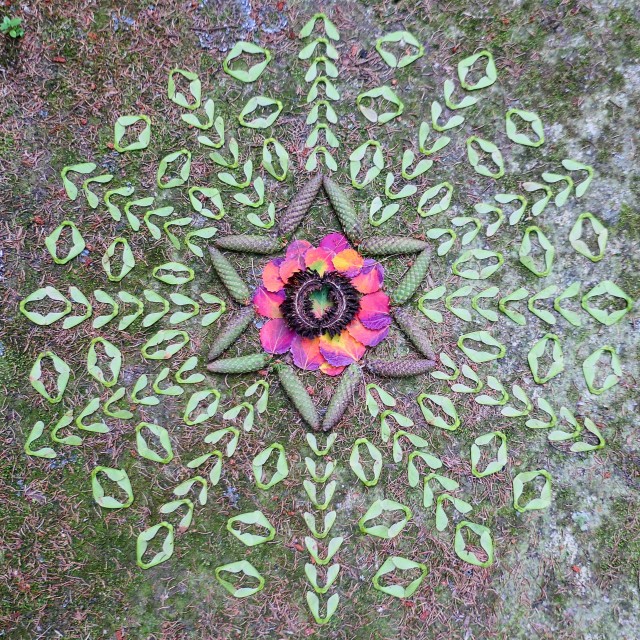 "Forest mandala landart maple seeds and other nature material" stock image