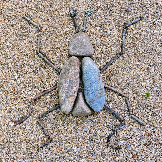 "Landart nature art beetle from sticks and stones" stock image