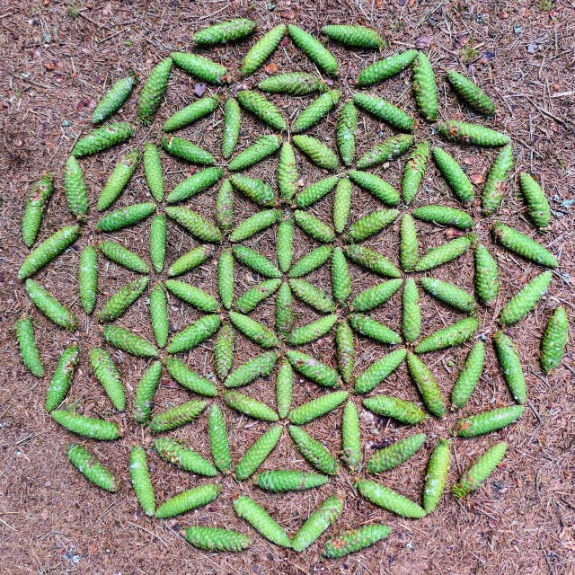 "Landart creation flower of life made from green spruce cones" by Lucia Pec - $14.70 "Landart creation flower of life made from green spruce cones" stock image