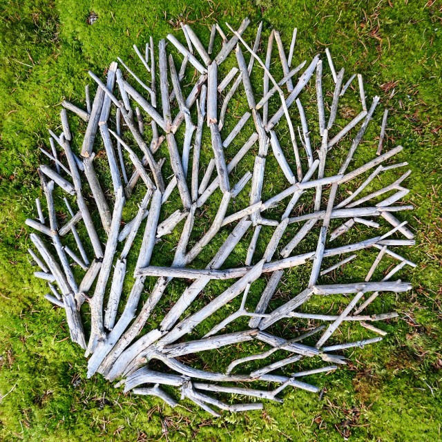 "Landart creation from bleached out spruce sticks on green moss" stock image