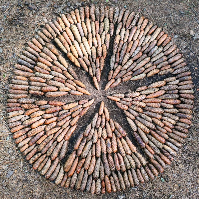 "Landart creation star in a circle from spruce cones" stock image