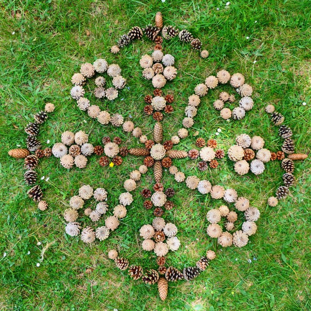 "Landart creation mandala from pine and spruce cones" by Lucia Pec - $14.70 "Landart creation mandala from pine and spruce cones" stock image