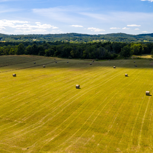 "Making Hay" stock image