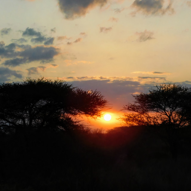 "Sunset in Tsavo West" stock image