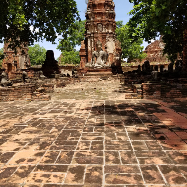 "Ayutthaya Buddha" stock image