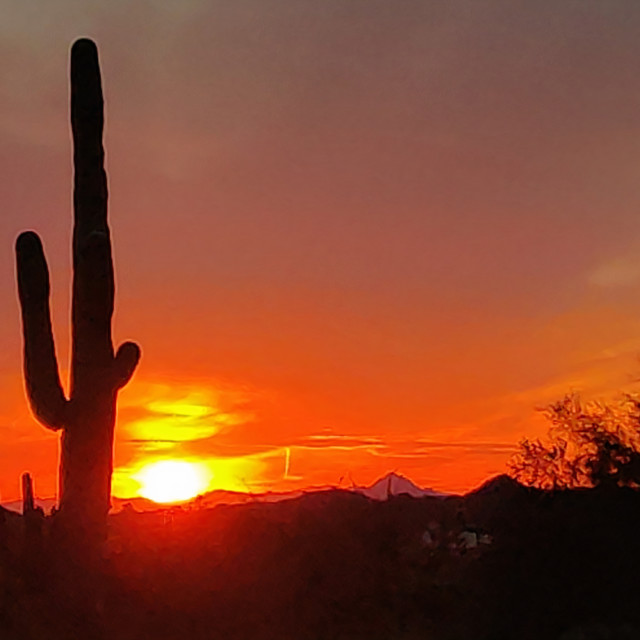 "Arizona Sunset" stock image