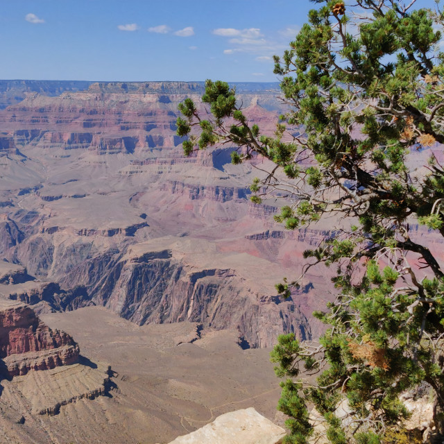 "Grand Canyon" stock image