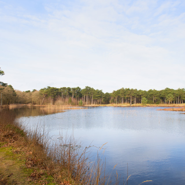 "Nature at Dutch Vlieland" stock image