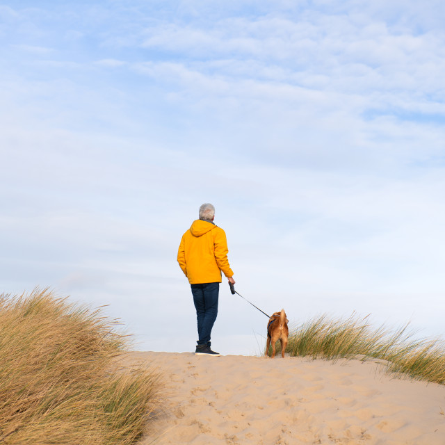 "Man with dog on top of the dunes" stock image