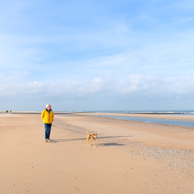 "Man with dog at the coast" stock image