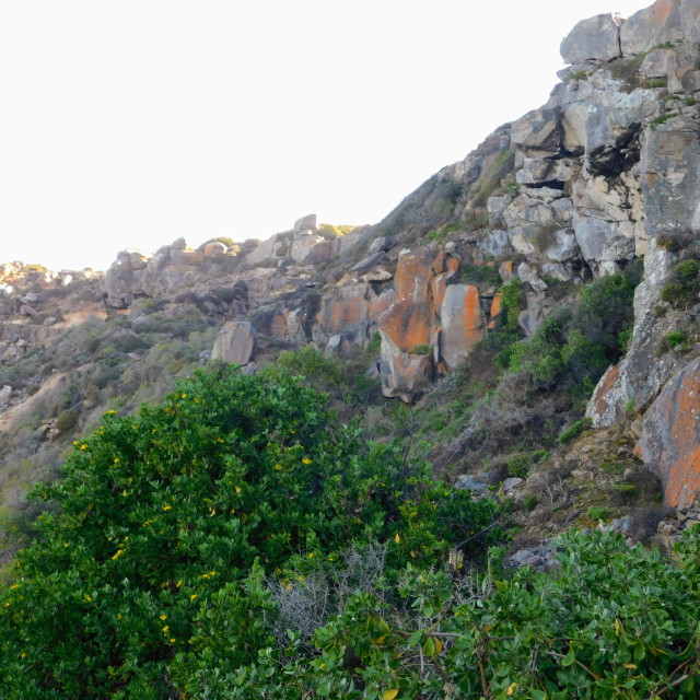 "Mossel Bay, South Africa cliffs 1" stock image