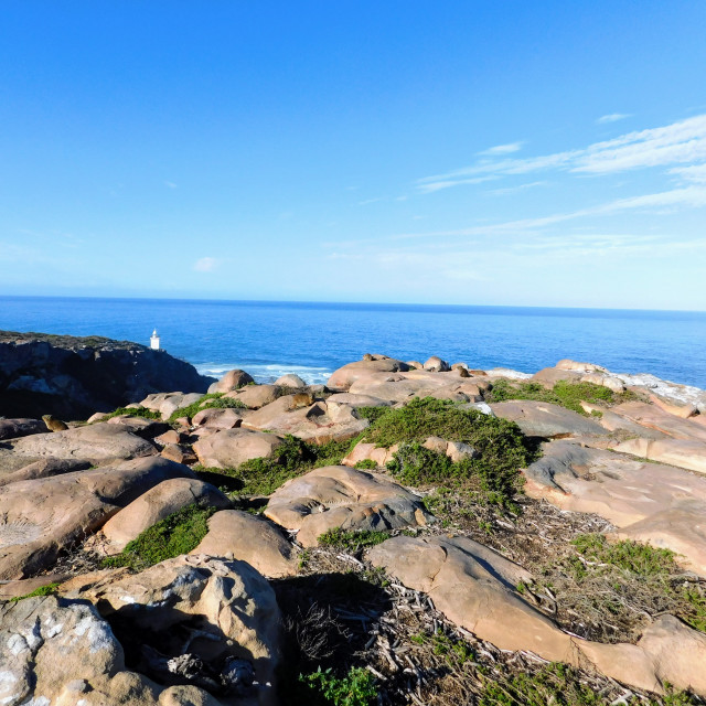 "Indian Ocean at Mossel Bay, South Africa 3" stock image