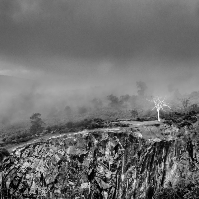 "Statham's Quarry with Tree" stock image