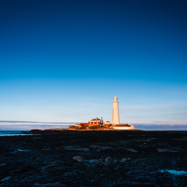 "St. Mary's Lighthouse during a cold October Golden Hour" stock image