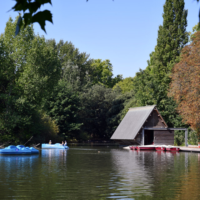 "Boating Lake / Battersea Park" by Images George Rex - £29.00 "Boating Lake / Battersea Park" stock image