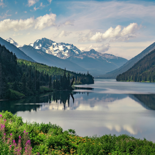 "Joffre Peak above Duffey Lake" by Adam Price - $12.26 "Joffre Peak above Duffey Lake" stock image