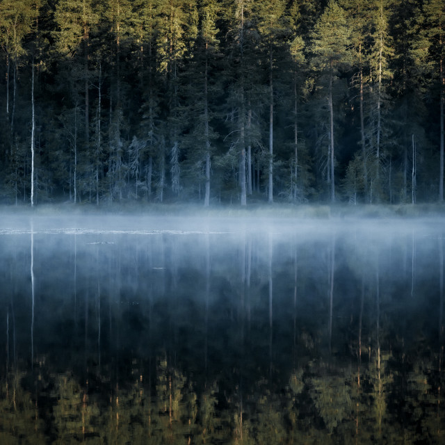 "Mist hovering over a forest lake" stock image