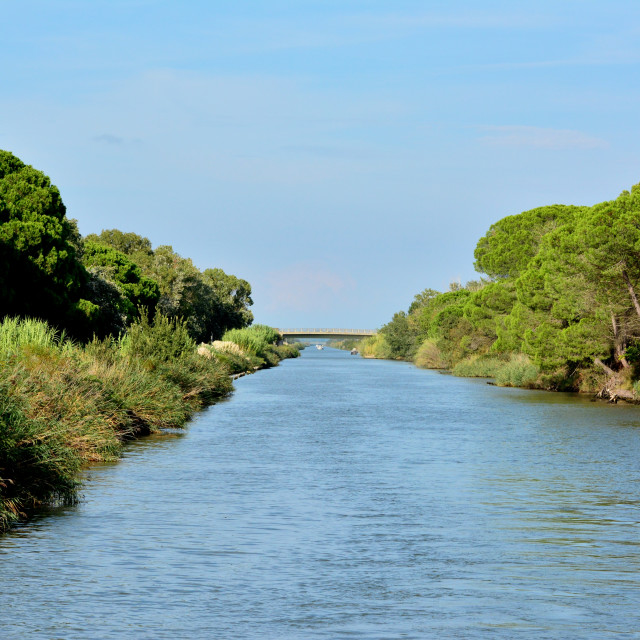 "Water way in the Camargue" by Amit Mendelsohn - £50.00 "Water way in the Camargue" stock image