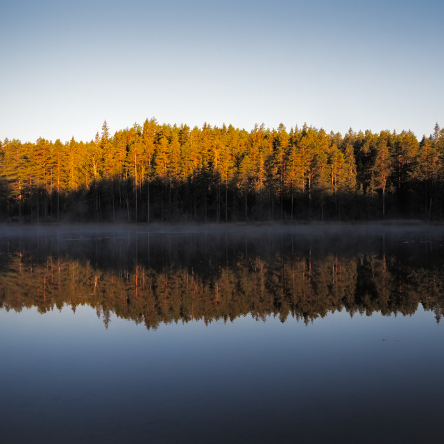 "Misty forest lake at dawn" stock image